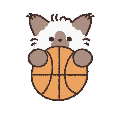 Basketball Ok Sticker by koimoffee