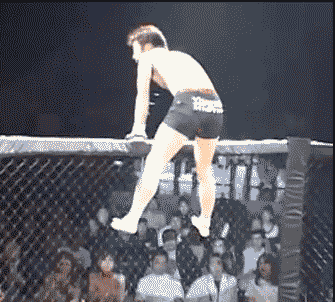 https://media4.giphy.com/media/yr96Wl41VzbJm/giphy.gif