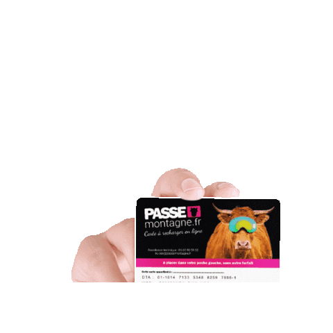 PASSE MONTAGNE Sticker