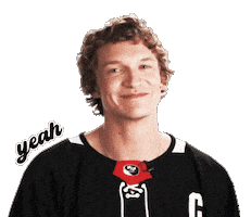 Hockey Yes Sticker