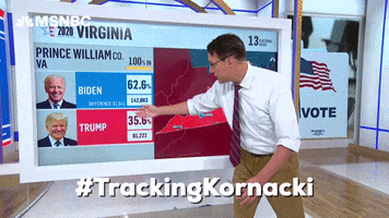 Voting Up And Down GIF by MSNBC