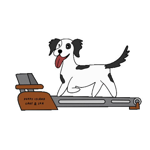 Puppyislandspa Sticker