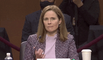 Senate Judiciary Committee First Amendment GIF by GIPHY News