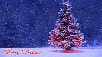 animated christmas snow tree merry