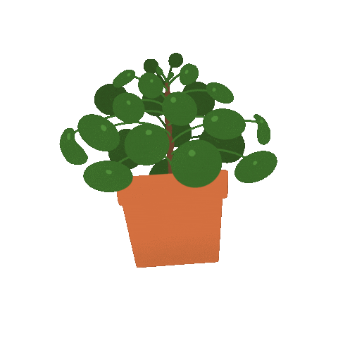 Plants Jungle Sticker