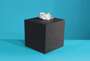 Gift Middle Finger GIF by Birthday Bot