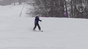 Fail Alpine Skiing GIF by All-Round Champion