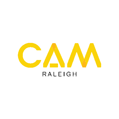 Cam Sticker