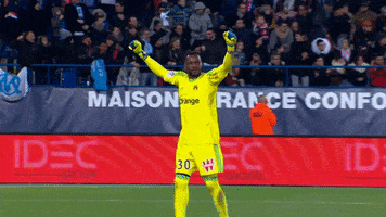 victory steve GIF by Olympique de Marseille