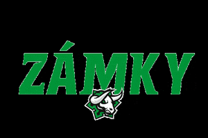 hockey_novezamky gol hcnovezamky hcnz zamky GIF