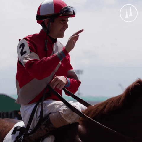 TwinSpires GIF