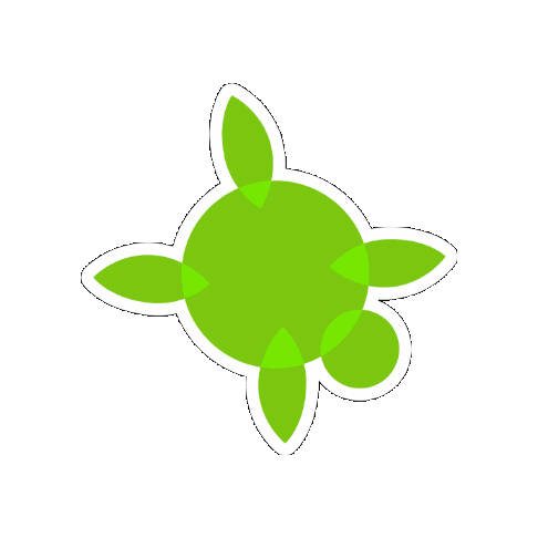 Turtle Sticker by Tourism Philippines