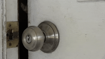 Home Alone Dog GIF by Storyful