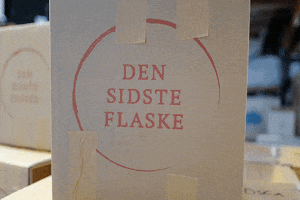 Dsf GIF by Den Sidste Flaske