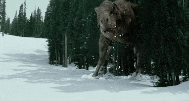 Winter Olympics Snow GIF by Jurassic World