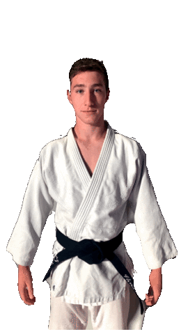 Vicolachips Sticker by Chaponost Judo