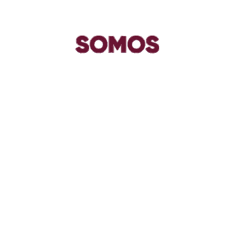 Falconi Camargos Sticker