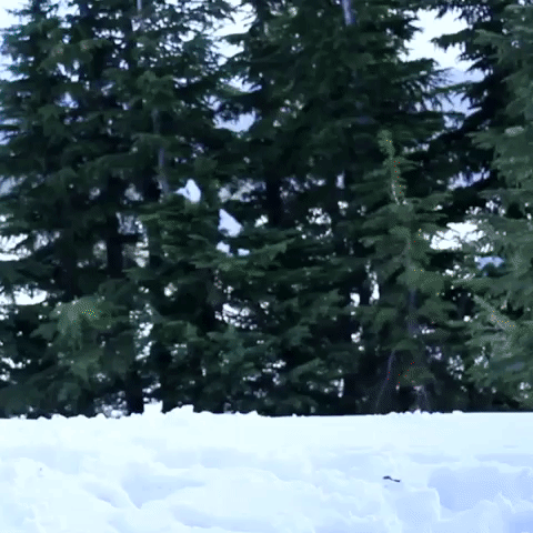 Mt Hood Christmas GIF by Four Rest Films