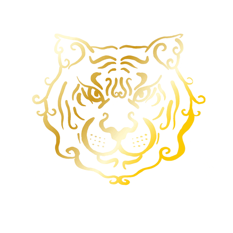 soyporkus aladdin ariel tigre calabaza GIF