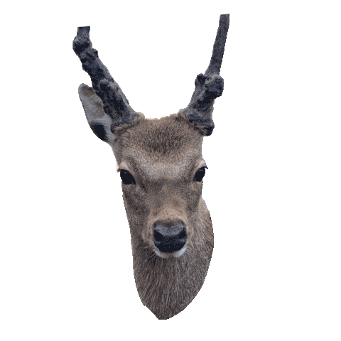 Supervalu christmas ads