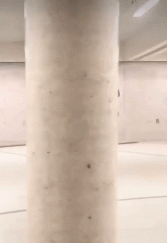 Dualtone Music Group GIF