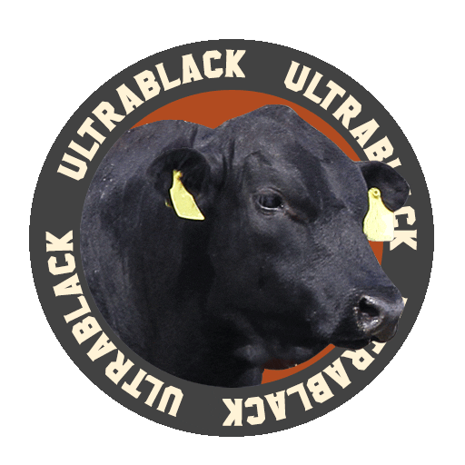 Associação Brasileira de Angus Sticker