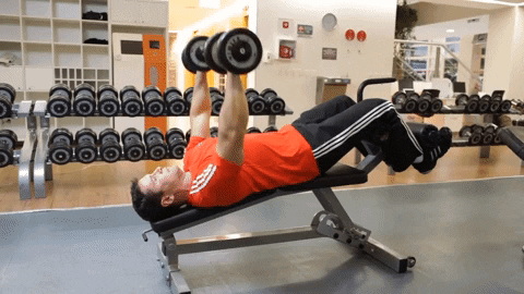 Fitness GIF - Find & Share on GIPHY