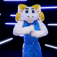 University Of North Carolina GIF by UNC Tar Heels