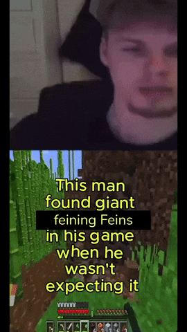 Feinfein2014 GIF