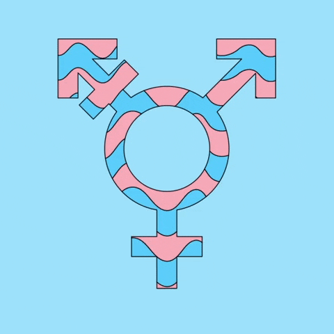 Trans Lives Matter GIF by Trap Bob