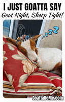 Tired Good Night GIF by Goatta Be Me Goats! Adventures of Pumpkin, Cookie and Java!