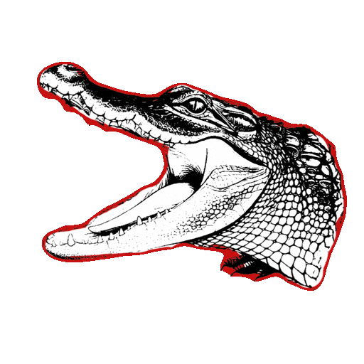 Gruene Klimaschutz Sticker