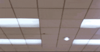 Jesus GIF