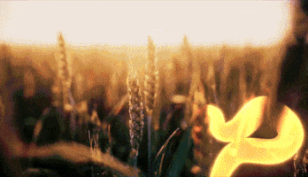 3C Productions GIF