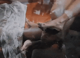 Jada Pinkett GIF