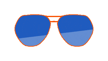 Summer Flying Sticker by Apollo Optik