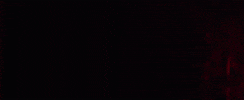 GIF by Oggi