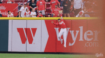 Baseball Mlb GIF by Cincinnati Reds