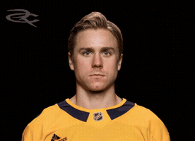 Nashville Predators GIF by Respective
