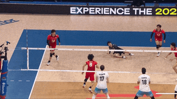 Japan Vamos GIF by Volleyball World