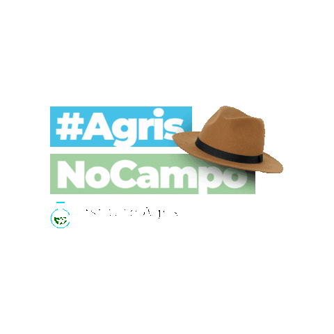 Instituto Agris Sticker