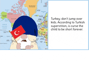 Turkey GIF