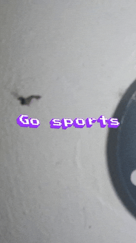 Go Sports GIF