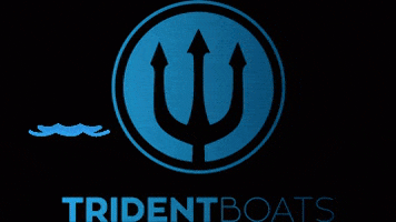 tridentboats tridentboats tridentlefkada tridenttrident tridentaquaman GIF