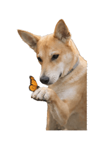 Love Sticker