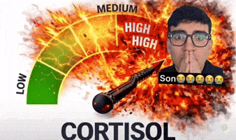 Pis Seyfi GIF