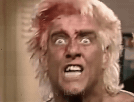 Ric Flair Interview GIF
