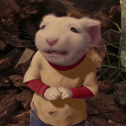 Sorry Stuart Little GIF by pipedpie
