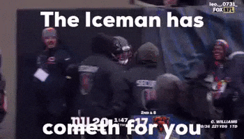 Chicago Bears Football GIF