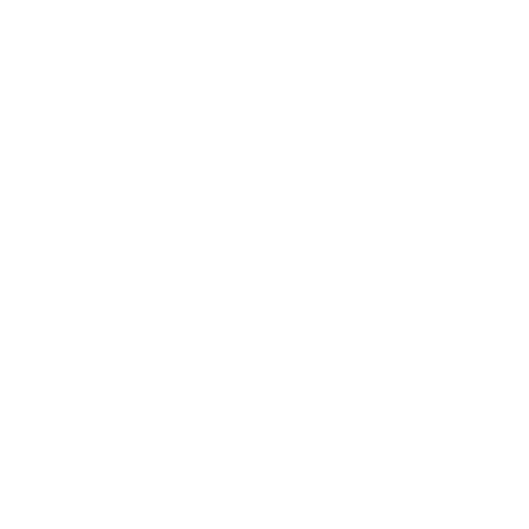 FEDERAZIONE ITALIANA CANOA KAYAK Sticker